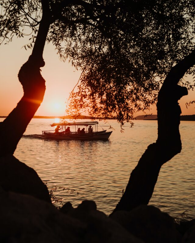 Article : Mourir comme seule option